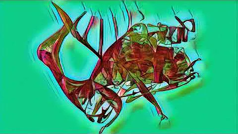 Fractal Flea - Max Welker