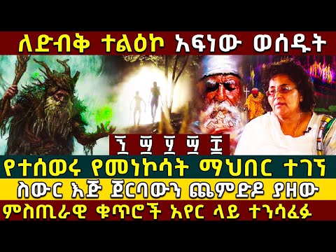 ቪዲዮ: የተንሳፈፉ ረግረጋማ ቦታዎች ምንድን ናቸው፡ የሚበቅሉ ተክሎች ለተንሳፋፊ ደሴቶች