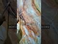 Motif marmer dinding #marblepaint #shorts