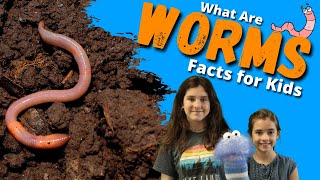 Earthworm Facts For Kids  All About Worms