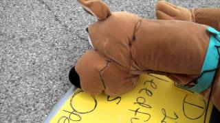 Scooby Down.AVI
