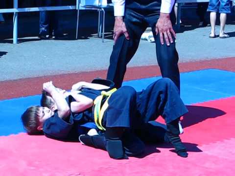 Horting. ბავშვთა დაცვის საერთაშორისო ტურნირი. საბრძოლო ხელოვნების