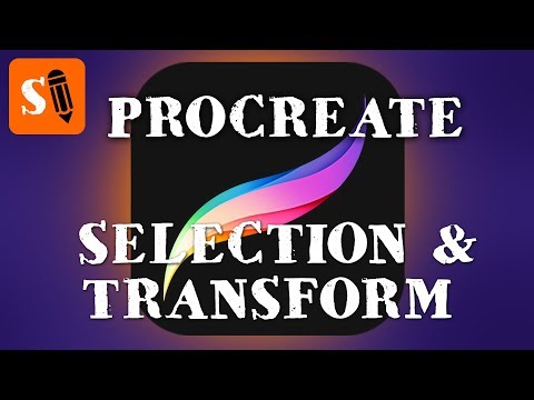 Procreate Video Manual - Selection Tool and Transform Tool