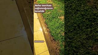 Nefes Texnikası Sağlamnığımızın Temelidir