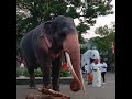 සිංහ රාජා