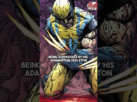 Is Sabretooth a better Version of Wolverine?