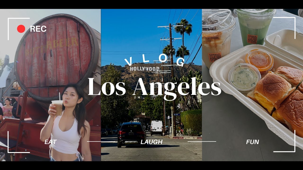 The Ultimate LA Experience: From Dolphin Watching to Seafood Feasts!