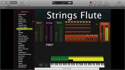 string legato,string flute. sax.sarangi,sithara,flute mose,shenai mose.