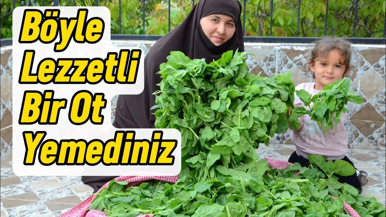 Sirken Kavurması Nasıl Yapılır 💢 @FraktinTV