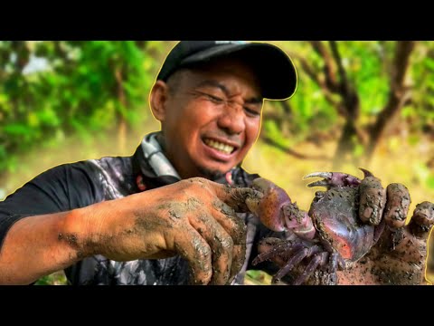 ANG KAPAL NG ALIGE | Land Crab Catch and Cook - EP2362