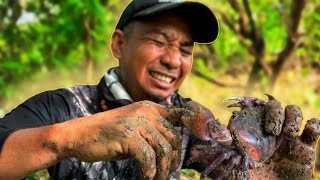 ANG KAPAL NG ALIGUE | Land Crab Catch and Cook - EP2362