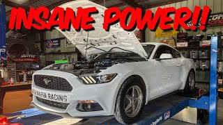 Insane 750+WHP Ecoboost Mustang On The Dyno!!