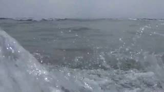 Muara kali muaif...