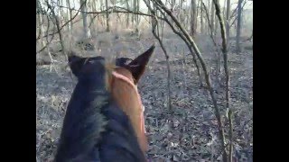 Tango & Black !!! SOME TIMES WHAT  A PAIN!!!!!!!