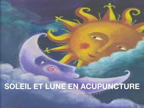 Vidéo: Villes D'acupuncture