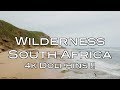 4k Dolphins - Wilderness, South Africa