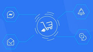 Best Abandoned Cart Recovery App for Wix & Shopify - Carti - SMS Push & Email screenshot 3