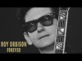 ROY ORBISON CRYING HD 24bit V Remaster mp3