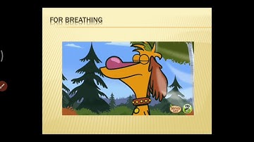 Our basic need: Air Class 2 EVS