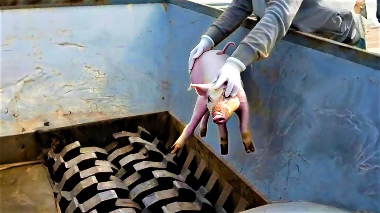 Удивительные машины, работающие на невероятном уровне | Самая впечатляющая сельскохозяйственная т...