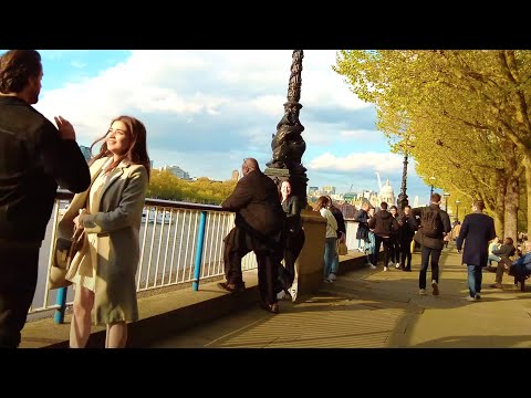 Video: Cum Să Intri în Labirintul De Carte De La Southbank Center Din Londra