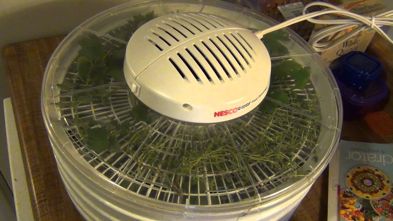 Dehydrating Herbs With Nesco Food Dehydrator 