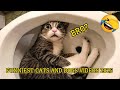 🐾😂 Best Funny Dogs &amp; Cats Compilation 2025 🐶🐱 | Try Not To Laugh #22 | September 22, 2025