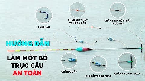 Hướng Dẫn Cách Làm Trục Câu Đơn Trong Môi Trường Câu Tự Nhiên Địa Hình Phức Tạp | VIETNAM FISHING