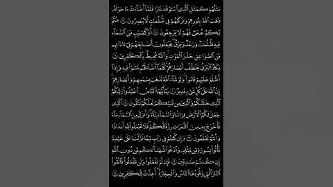 الصفحة ٤، سورة البقرة، صالح الزهيري