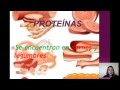 3 Verduras para Eliminar la Grasa Abdominal