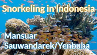 Mansuar, Sauwandarek/Yenbuba - 4K Snorkeling in Indonesia