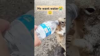 Download Lagu He want water 😭😭#quran #surat #qurantranslation #quranrecitation #quransurat #surat #explore #pink MP3 Download Lagu He want water 😭😭#quran #surat #qurantranslation #quranrecitation #quransurat #surat #explore #pink MP3