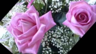 Şahi̇n Kamera : Kötülere Geli̇n Olasin Geli̇n