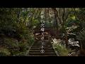 京都の穴場スポット⑪ : A secret spot in Kyoto（Kyoto, Japan）