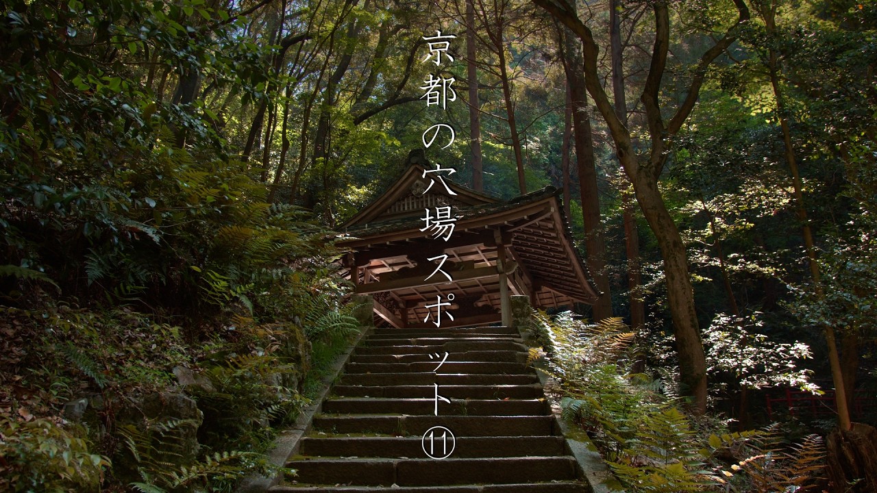 京都の穴場スポット⑪ : A secret spot in Kyoto（Kyoto, Japan）