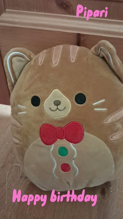 Happy birthday to me!! 🐱🍪🥰 #birthday #piiku #everyone #foryou #subscribe #cats#italia#usa#japan #6v