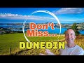 Must know  best things to do in dunedin new zealand