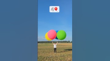 Mrbeast/HOW MANY BALLOONS DOES IT TAKE TO FLY?!