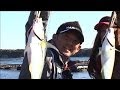 海上釣堀で冬の高級魚を手軽にGET! /四季の釣り/2013年12月6日OA