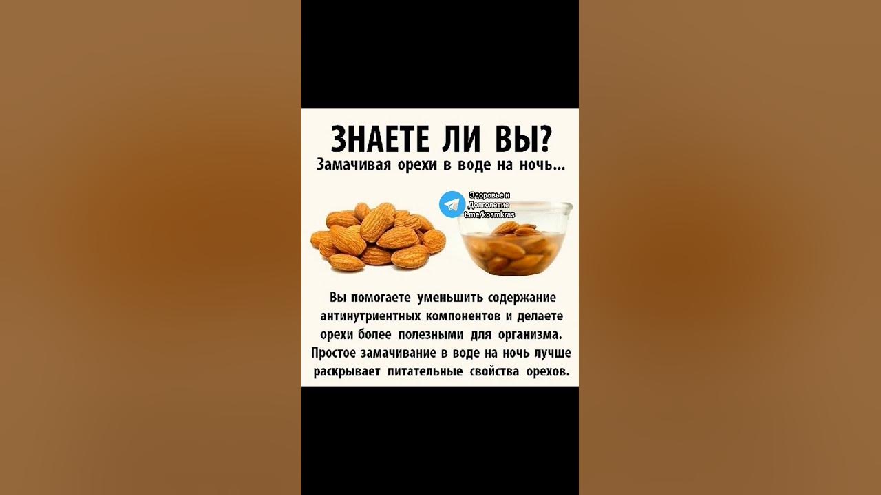 Замоченные орехи. Зачем замачивают орехи в воде. Сколько времени замачивать орехи перед употреблением. Самый полезный орех в мире. Вымачивать орехи перед употреблением.