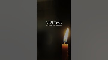 وعسى أن تكرهوا شيئاً وهو خيرٌ لكم #سورة_البقرة #مشاري_العفاسي #قرآن #quran #اكسبلور #المصحف #لايك
