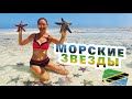 ЗАНЗИБАР 2021 - Экскурсия в отлив по океану. Полный обзор отеля Waikiki Zanzibar Resort