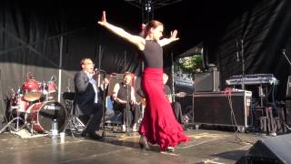 Flamenco muziek en dans 2013 MME Enschede