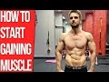 Why Am I Not Gaining Muscle? (Mini Guide Backed by Science)