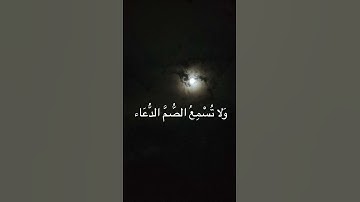 فَتَوَكَّلْ عَلَى اللَّهِ إِنَّكَ عَلَى الْحَقِّ الْمُبِينِ القارئ اسلام صبحي