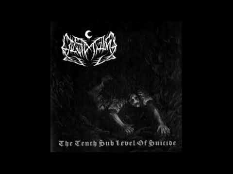 Leviathan - The Idiot Sun (Sub. Español)