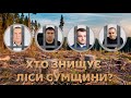 Хто знищує ліси Сумщини?