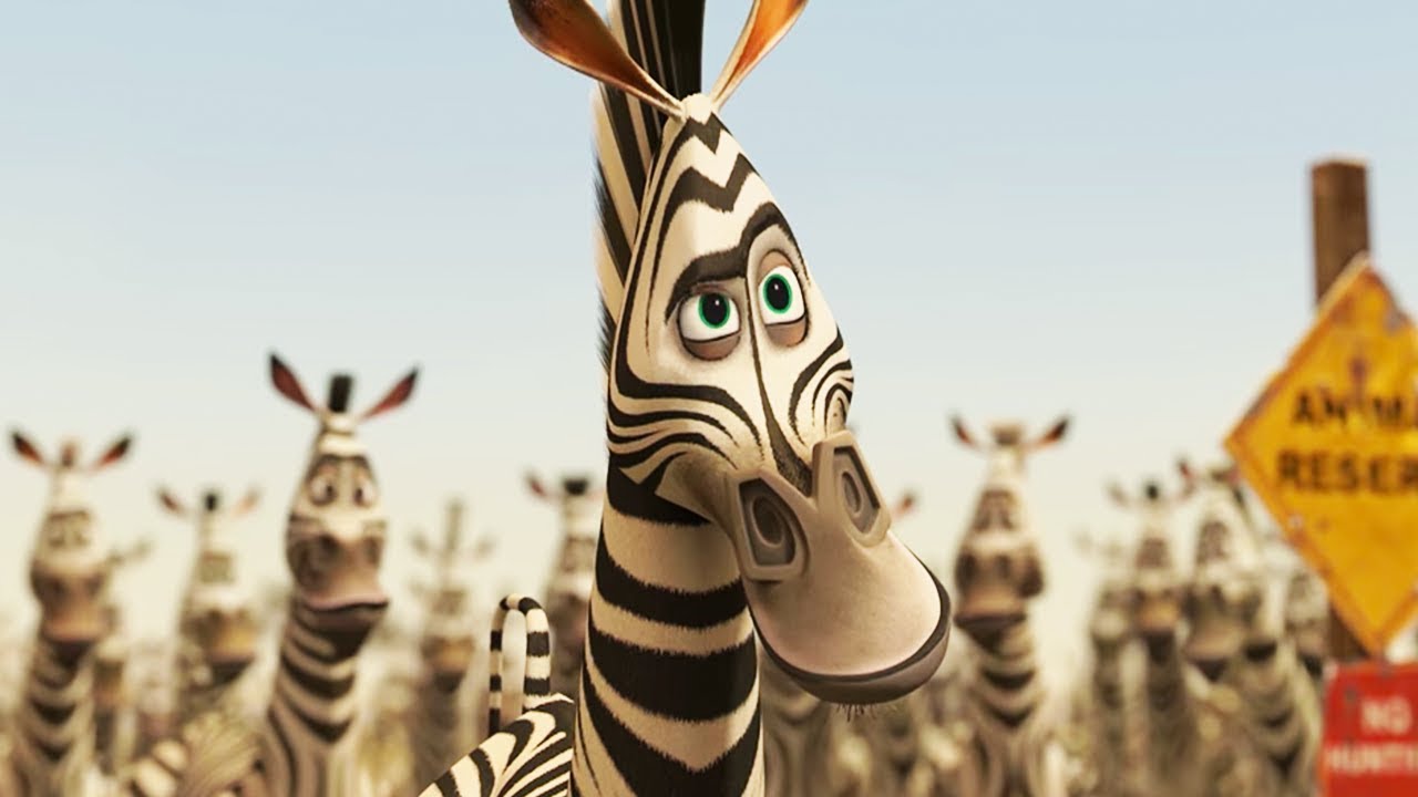 Como Se Llama La Cebra De Madagascar