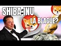  ils disaient dgringolade du shiba inu bitcoin repart chercher les 60000