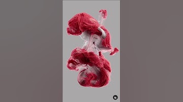 Blender 3d Particle Swarm Animation